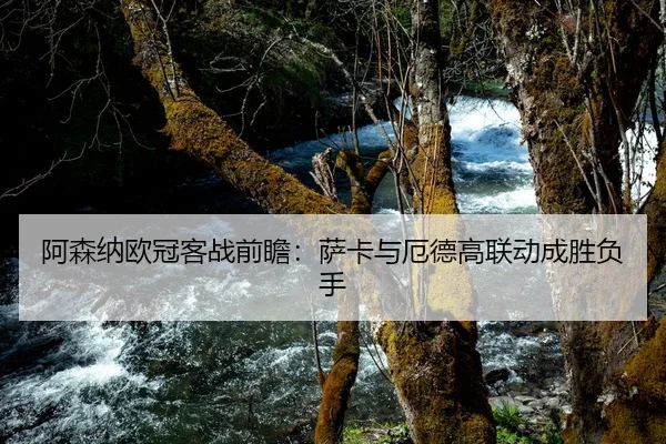阿森纳欧冠客战前瞻：萨卡与厄德高联动成胜负手